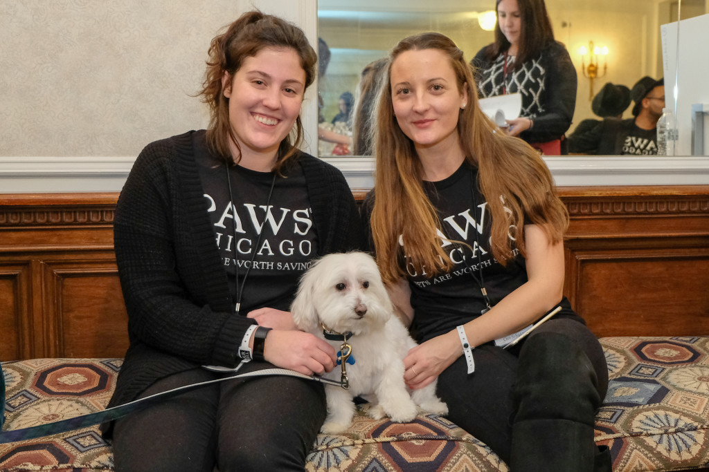 PAWSFB2018.EvanCobbPhoto-8533